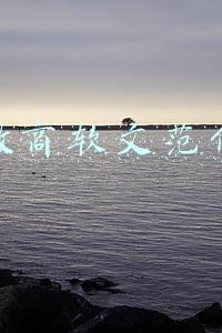 微商软文范例