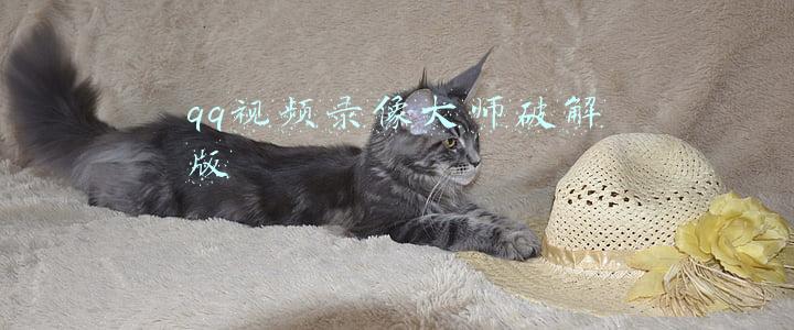 qq视频录像大师破解版