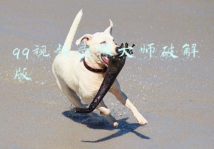 qq视频录像大师破解版