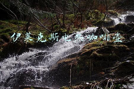伊莱克斯电热咖啡壶egcm010(告别速溶咖啡粉，置一只咖啡壶)