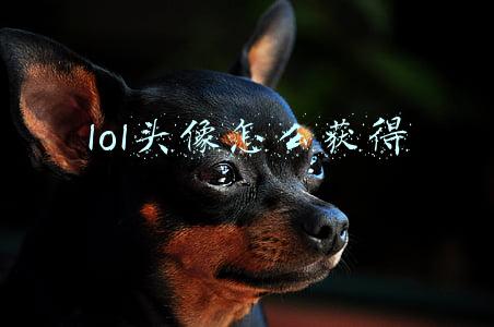 lol格温头像怎么获得(多彩壁纸712期｜游戏壁纸 英雄联盟格温卡通壁纸)