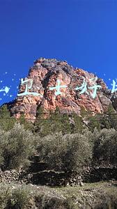 金山卫士官方免费下载(这十年，总书记的新春足迹)