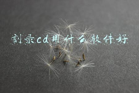 刻录cd软件哪个好用(光盘刻录软件哪个好？)