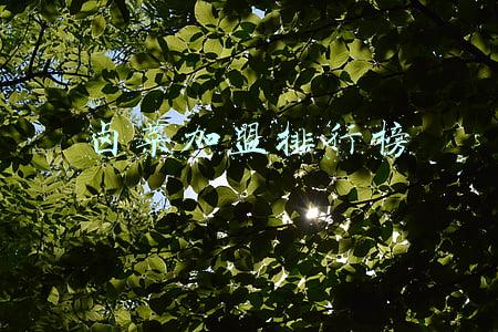 卤菜加盟排行榜