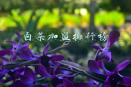 卤菜加盟排行榜