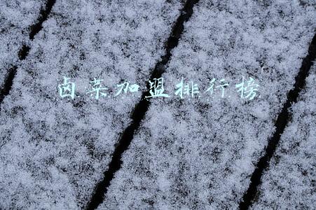 卤菜加盟排行榜