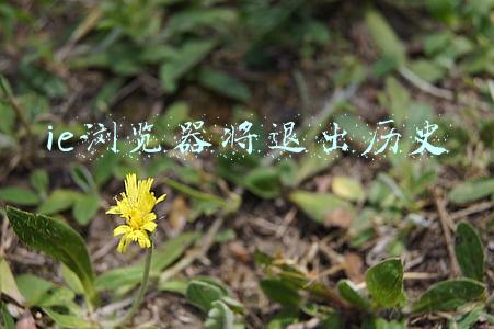 ie浏览器将退出历史长武县洪家镇马寨村(长武县洪家镇关口前移 排查承诺 严守疫情防控“红色阵地”)