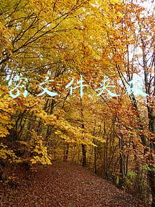 文档加密破解(world文件加密破解（简单方法）)