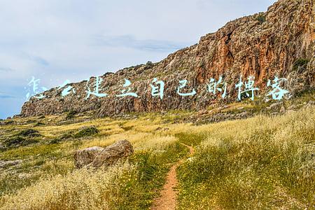 怎样开通博客写博客(一行代码都不写！手把手教你建GitHub博客)