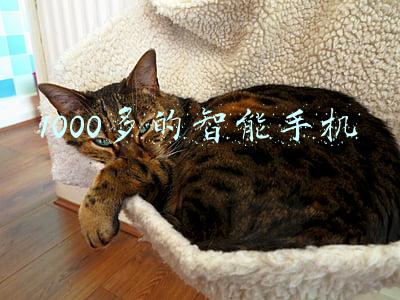 1000多的智能手机哪个好(手机越来越贵，论性价比我只服这四款手机，售价都仅一千出头)