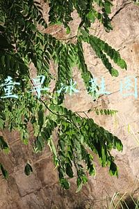 儿童旱冰鞋图片