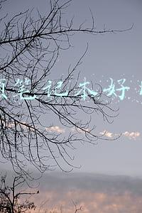 华硕笔记本好用吗