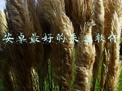 安卓手机杀毒软件哪个好(5 款主流的密码管理软件，你在用哪款？)