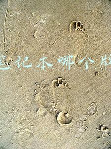 轻薄笔记本哪个牌子好