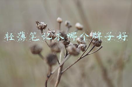 轻薄电脑笔记本哪个好(10月份十大轻薄笔记本热销榜 千万别错过)