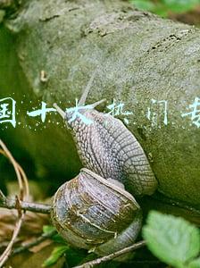 全国十大热门专业