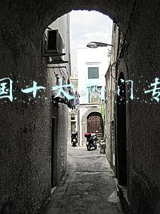 全国十大热门专业