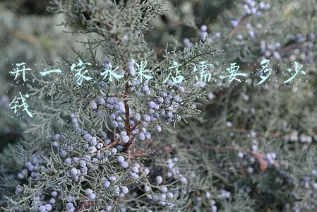 在小区门口开一家水果店需要多少钱，小区门口开水果店赚钱吗