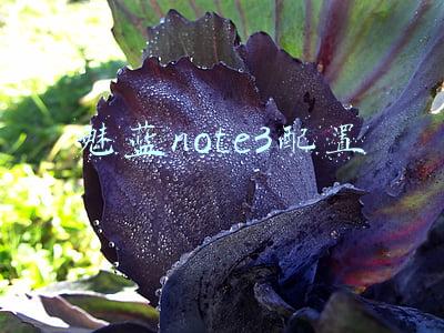 魅蓝note3中关村(续航爆表的全金属千元机 魅蓝note 3评测)