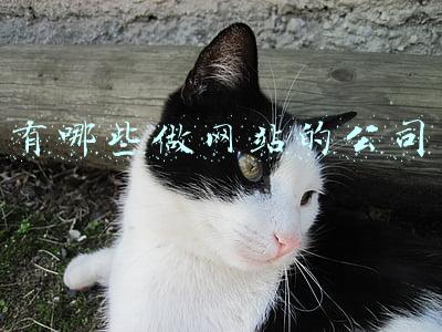 有哪些做网站的公司