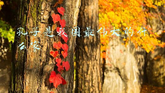 孔子是我国最伟大的什么家打一三字俗语(97岁高龄获诺奖，背后的8条“教育天机”令人深思)