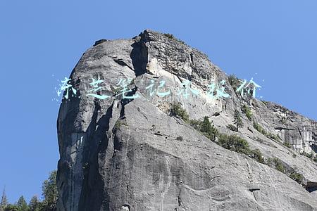 东芝笔记本电脑官网(再见！东芝大连，解散在30岁之前)