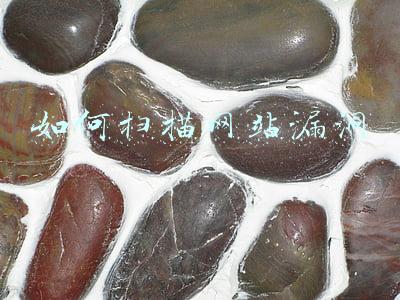 如何扫描网站漏洞