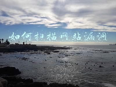 常用web漏洞扫描工具(黑客渗透测试与网络安全工程师必备神器)