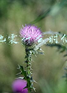 唐山地震时间日期(突发 | 唐山今晨地震了！上周刚刚震过......)