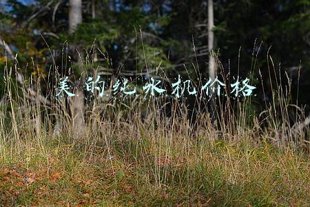 美的纯水机价格