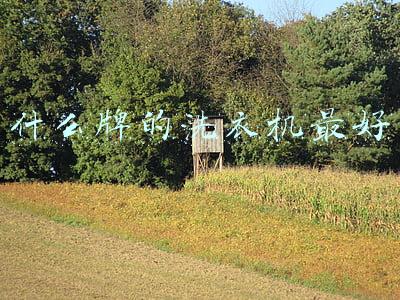 什么牌的洗面奶好用(怒花5万，实测38款洗面奶：油皮、干皮、敏感皮，看这篇就够了)