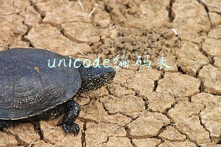unicode编码表大全(字符集编码ASCII，Unicode和UTF-8你知多少？字符集编码汇总)