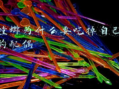 螳螂为什么要吃掉自己的配偶,生命感言(母螳螂为什么要吃自己的“丈夫”，“丈夫”能逃脱妻子的魔掌吗？)