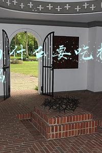 螳螂为什么要吃掉自己的配偶是真的吗(交配时，母螳螂会残忍吃掉“丈夫”，为何雄螳螂不反抗也不逃走？)