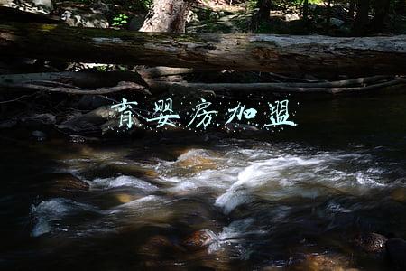 育婴房加盟