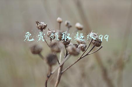 免费领取超级会员永久(终身VIP会员！资源永久更新！)