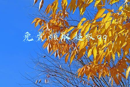 免费领取超级拉姆(Epic喜加二 免费领《僵尸斯塔布斯》枪火游侠Epic包)