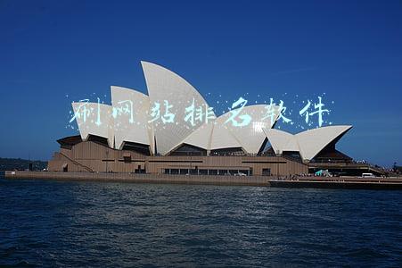 刷网站排名软件