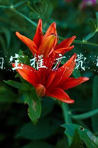 淘宝推广费用占比公式(深度解析淘宝推广创意和主图的影响因素构成，助你快速提升点击率)