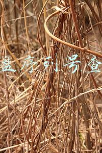 硬盘序列号查询