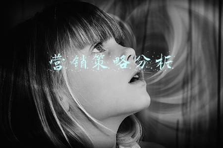 营销策略分析论文(毕业论文赏析：铁皮石斛的营销策略探讨)