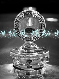 柑橘凤蝶幼虫图片(每日一虫：柑橘凤蝶)
