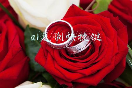 ai复制快捷键