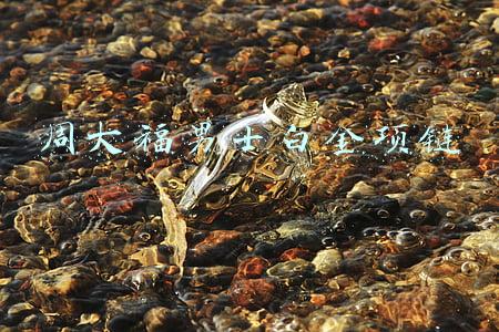 周大福男士白金项链价格(广州周大福今日金价查询（2020年8月28日）)