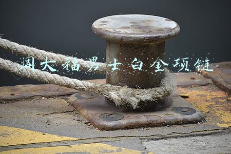 周大福男士白金项链图片(马天宇佩戴周大福的羽毛胸针，太帅了，你喜欢铂金首饰吗？)