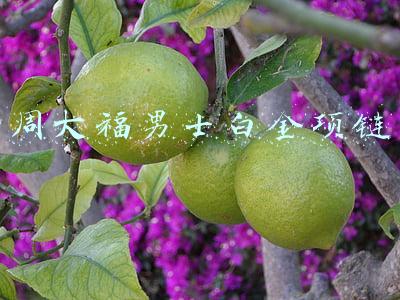 周大福男士白金项链