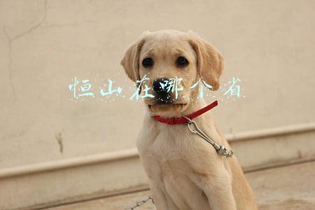 恒山在哪个省