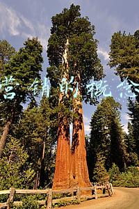市场营销的概念(市场与销售漫谈之一——什么是市场营销？)