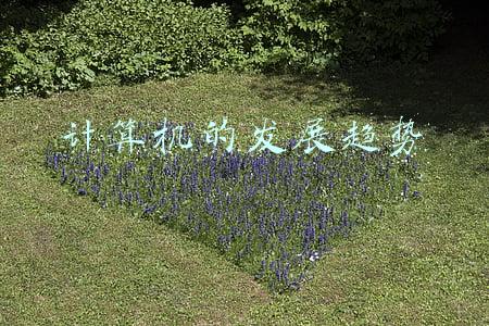 计算机的发展趋势是哪五种(大学专业解读—工学门类（9.1）-计算机类)