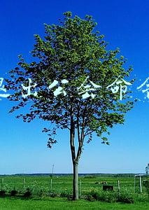 退出公会命令